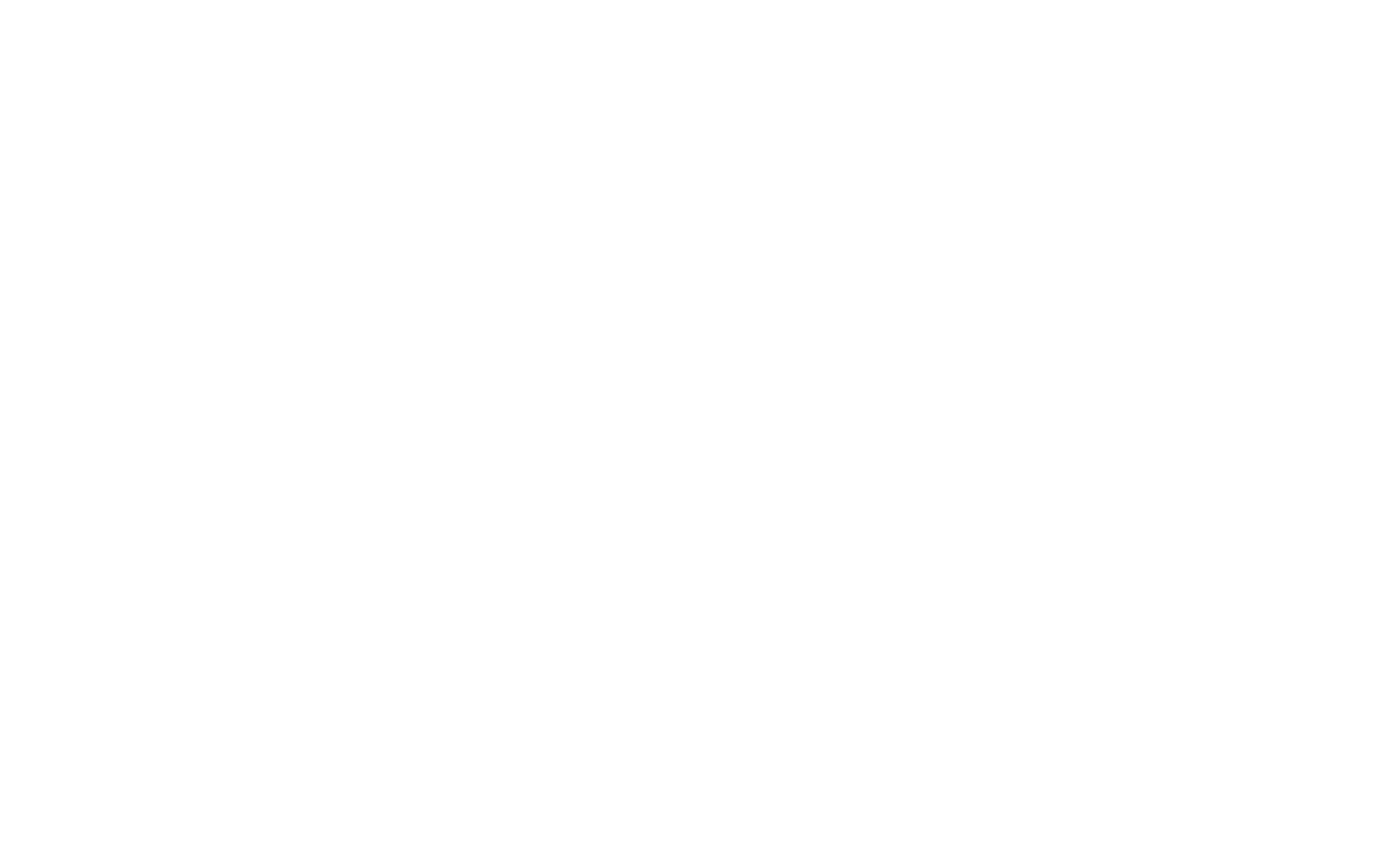 Taner International Group Logo