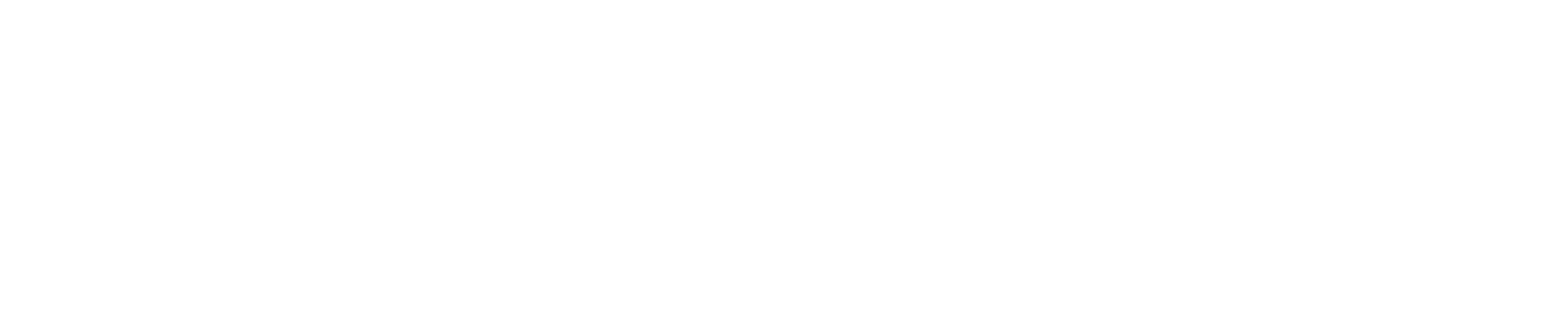 Taner International Group Logo